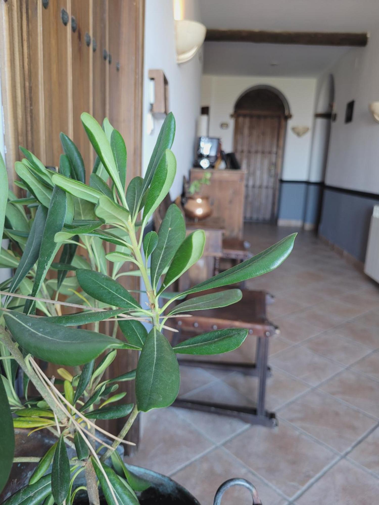 Hotel El Balcon De Las Nieves La Zubia  Eksteriør bilde